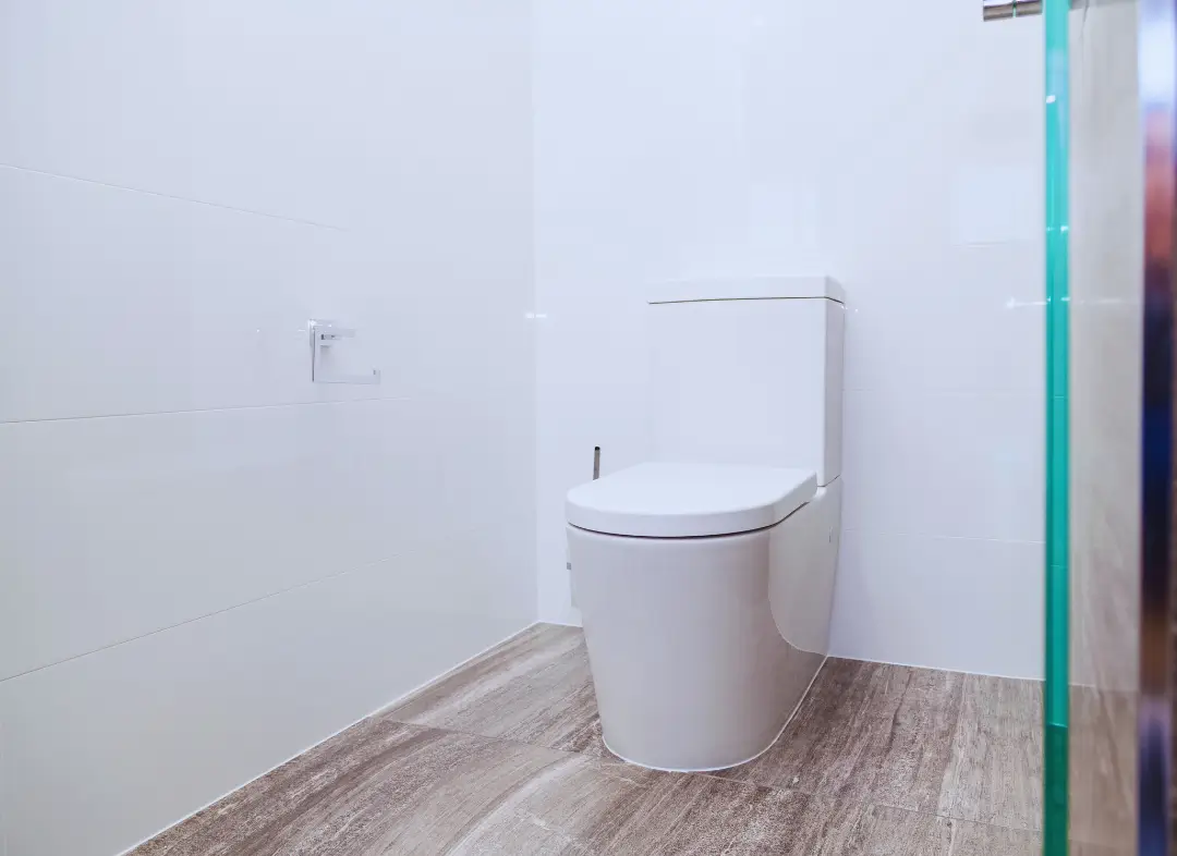 Remplacement de wc Saint-Brevin-les-Pins